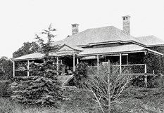 The original Wellcamp Downs Homestead in the early 1900's