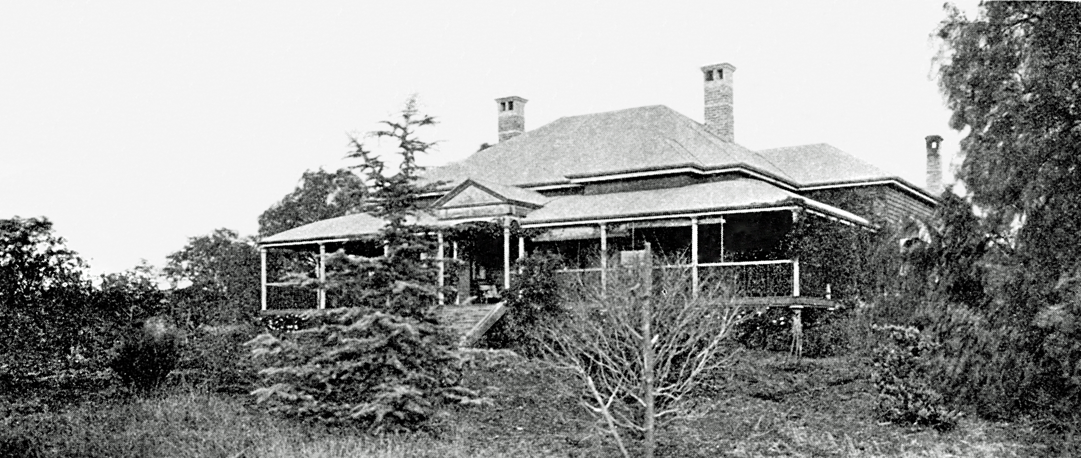 The original Wellcamp Downs Homestead pictured in a photo from the early 1900's | www.wellcamp.com.au
