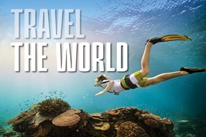 A free diver explores the Great Barrier Reef | www.wellcamp.com.au