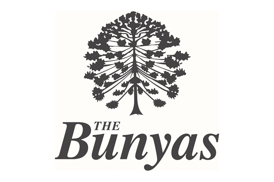 The Bunyas logo shows their support for the growth of air services for our community, from Toowoomba to the World | www.wellcamp.com.au