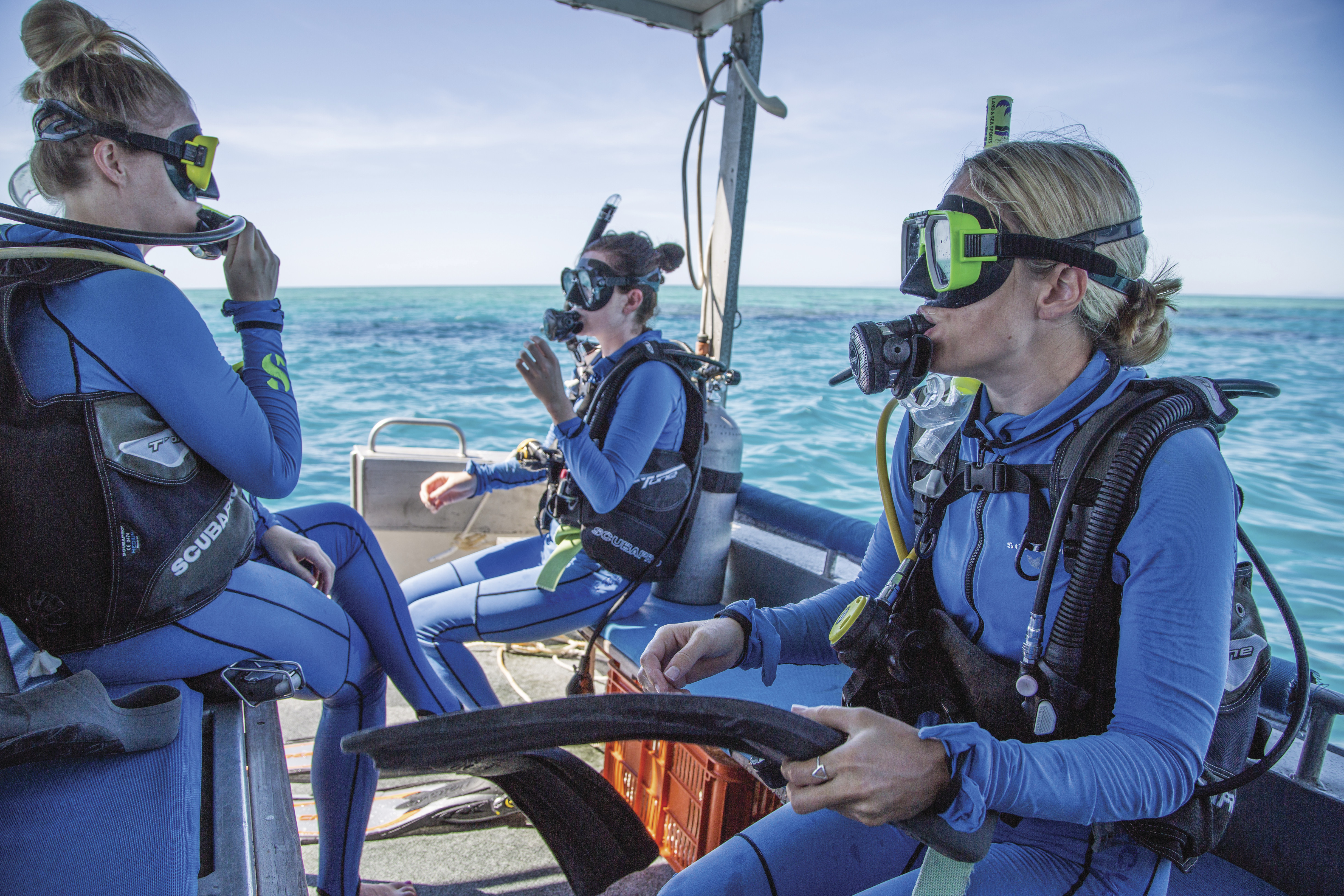 Townsville Reef [Krista Eppelstun]